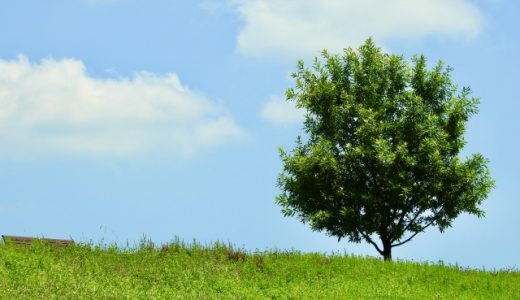 体力の低下を防いで、生命力を高めよう！