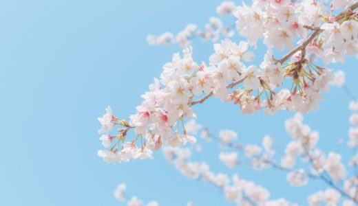春転職に向けて