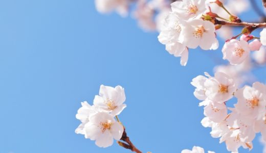 新年度からの転職活動について