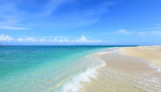 夏転職に向けて